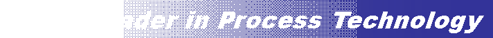 Text Box: Asian Leader in Process Technology